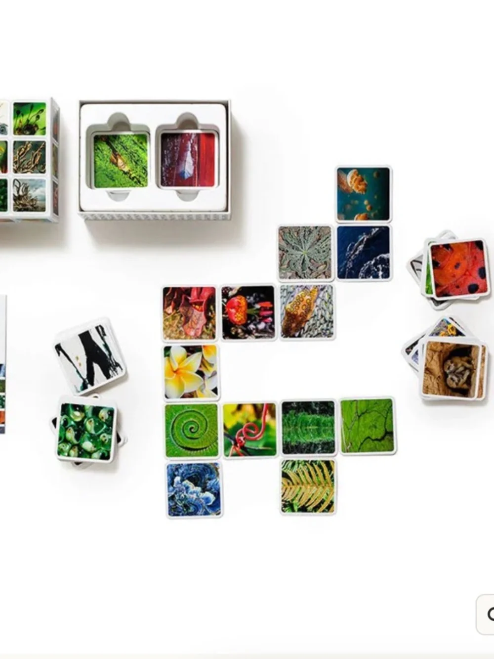 OUISI Nature Photo Cards -   Game of Visual Connection